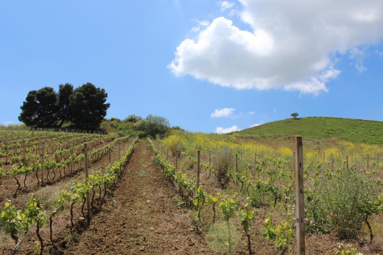 Ponte Calatrasi Agriturismo Roccamena ภายนอก รูปภาพ